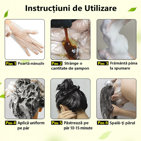 Șampon Negru pentru Păr Ivnil